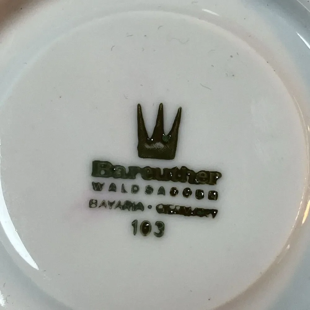 Vintage Bareuther Waldsassen Bavaria Germany Porcelain Tea cup saucer Flower 103
